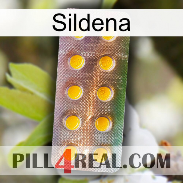 Sildena new11.jpg